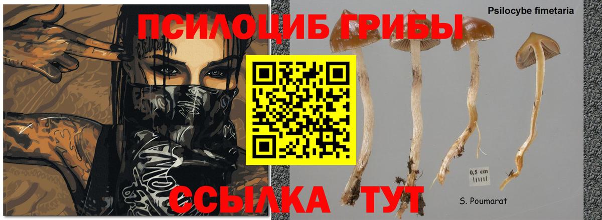 Галлюциногенные грибы ЛСД Бутурлиновка